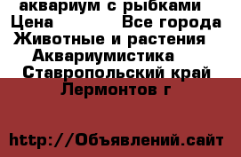 аквариум с рыбками › Цена ­ 1 000 - Все города Животные и растения » Аквариумистика   . Ставропольский край,Лермонтов г.